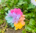 Fiore arcobaleno