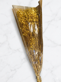 Nebbiolina gialla