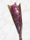 Nebbiolina rosa scuro