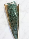 Nebbiolina tiffany