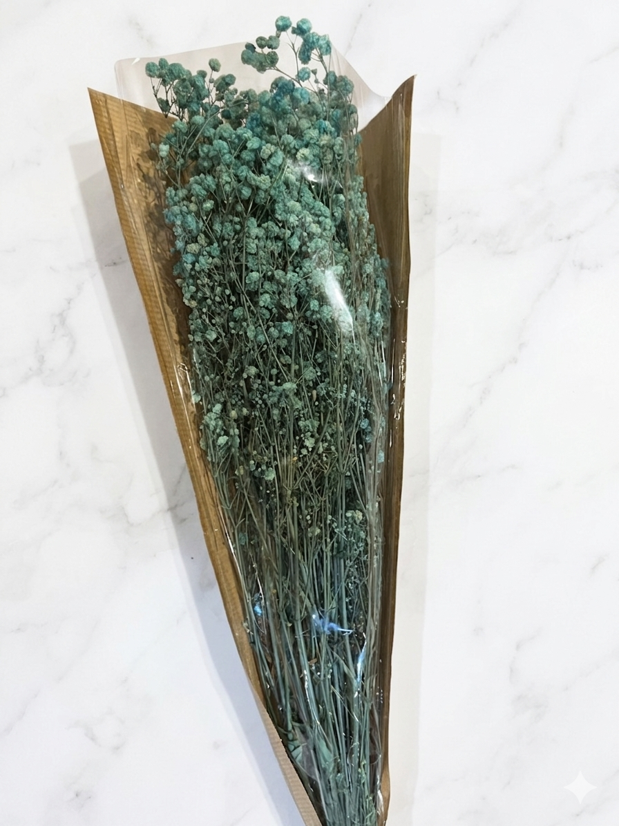 Nebbiolina tiffany