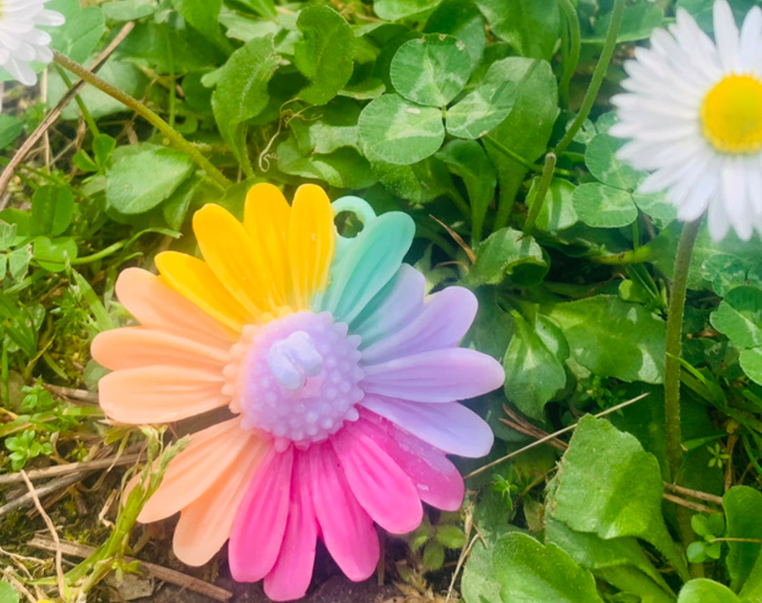 Margherita raimbow