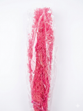Micro Nebbiolina fucsia