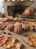 Raccolta di zucca