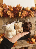 Teddy autunnale